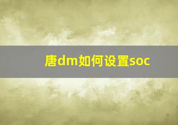 唐dm如何设置soc