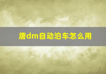 唐dm自动泊车怎么用