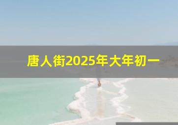 唐人街2025年大年初一