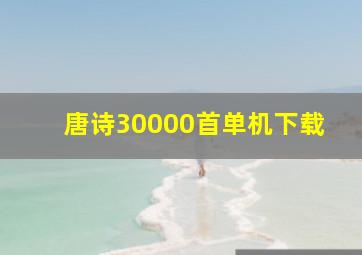 唐诗30000首单机下载