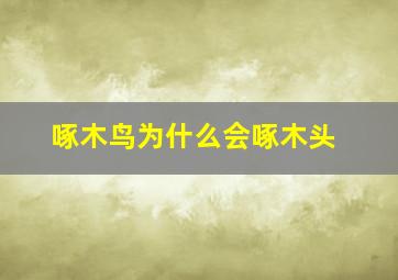 啄木鸟为什么会啄木头