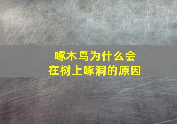 啄木鸟为什么会在树上啄洞的原因