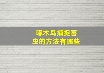 啄木鸟捕捉害虫的方法有哪些