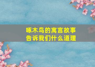 啄木鸟的寓言故事告诉我们什么道理