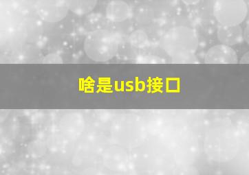 啥是usb接口