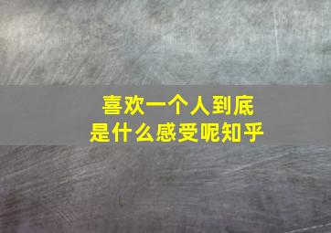 喜欢一个人到底是什么感受呢知乎