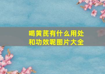 喝黄芪有什么用处和功效呢图片大全