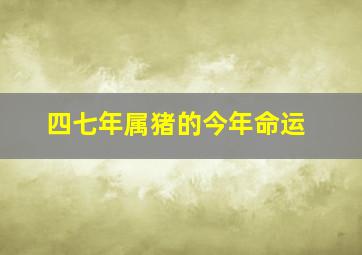 四七年属猪的今年命运