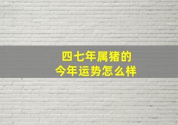 四七年属猪的今年运势怎么样