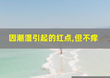 因潮湿引起的红点,但不痒