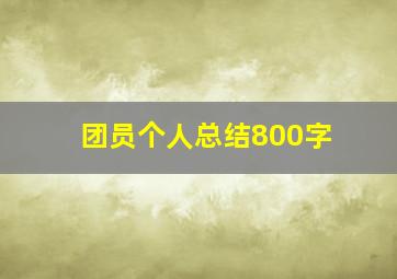 团员个人总结800字