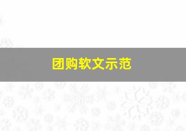 团购软文示范