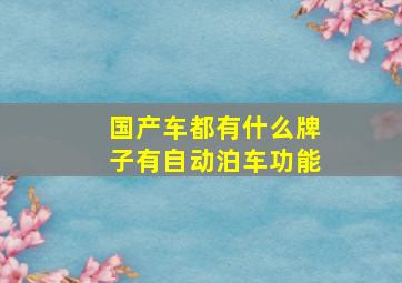 国产车都有什么牌子有自动泊车功能