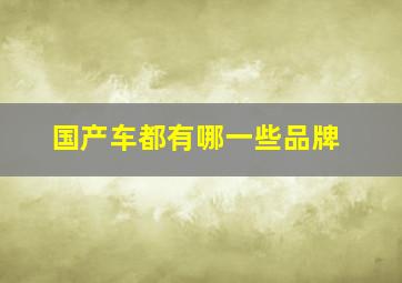 国产车都有哪一些品牌