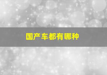 国产车都有哪种