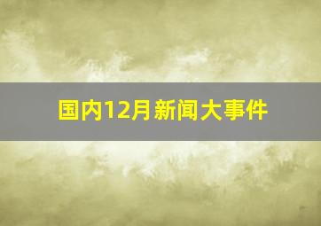 国内12月新闻大事件