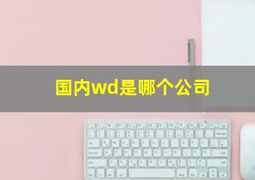 国内wd是哪个公司