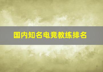 国内知名电竞教练排名