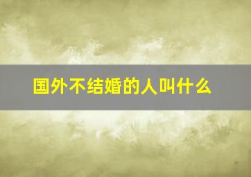 国外不结婚的人叫什么