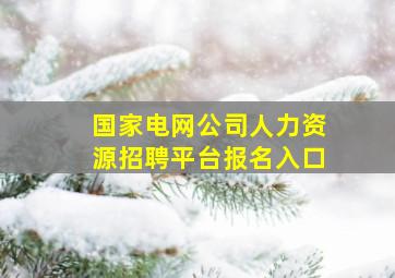 国家电网公司人力资源招聘平台报名入口