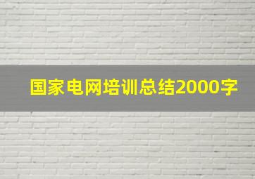 国家电网培训总结2000字