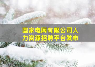 国家电网有限公司人力资源招聘平台发布