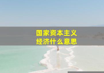 国家资本主义经济什么意思