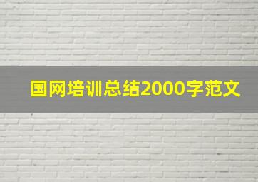 国网培训总结2000字范文