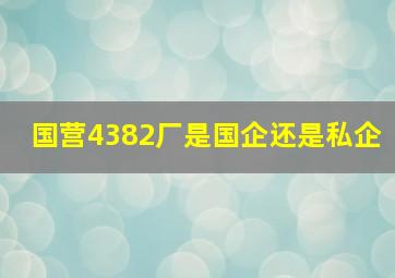 国营4382厂是国企还是私企