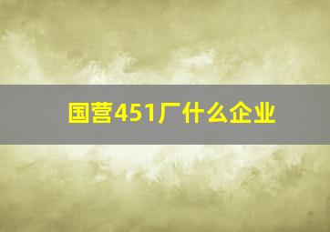 国营451厂什么企业