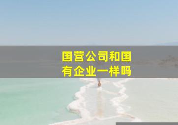 国营公司和国有企业一样吗