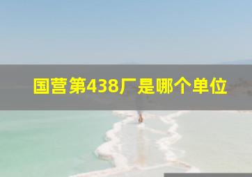 国营第438厂是哪个单位