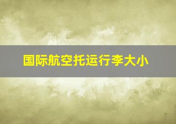 国际航空托运行李大小