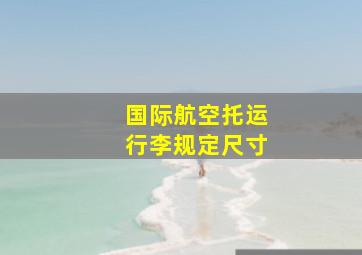 国际航空托运行李规定尺寸