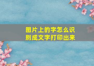 图片上的字怎么识别成文字打印出来