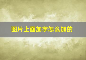 图片上面加字怎么加的