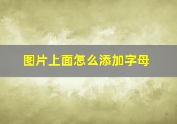 图片上面怎么添加字母