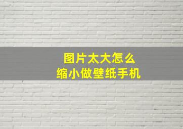 图片太大怎么缩小做壁纸手机