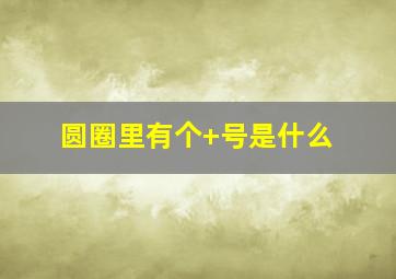 圆圈里有个+号是什么