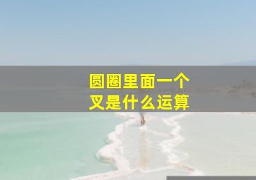 圆圈里面一个叉是什么运算