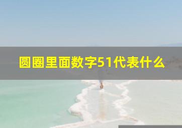 圆圈里面数字51代表什么