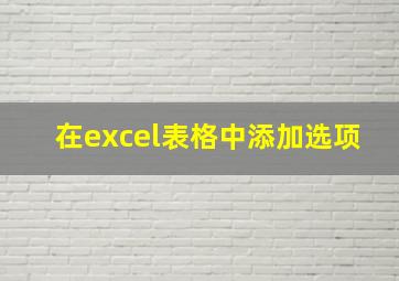 在excel表格中添加选项