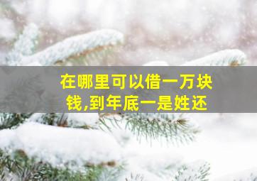 在哪里可以借一万块钱,到年底一是姓还