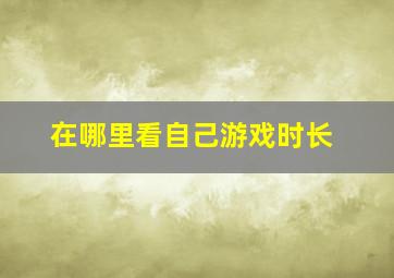 在哪里看自己游戏时长