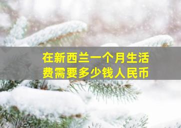 在新西兰一个月生活费需要多少钱人民币