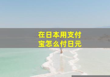 在日本用支付宝怎么付日元