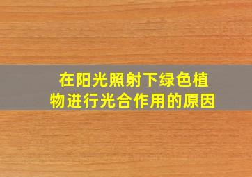 在阳光照射下绿色植物进行光合作用的原因