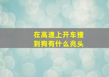 在高速上开车撞到狗有什么兆头