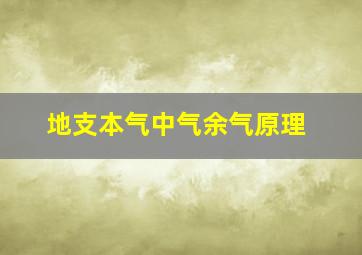 地支本气中气余气原理