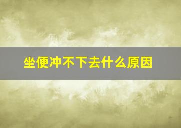 坐便冲不下去什么原因